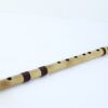 C Sharp Medium BOLD Series Bansuri Flute