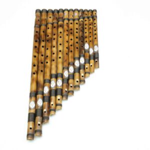 Guru Whistle Bamboo Flutes Professional Set