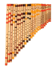 Professional Full Set Bansuri Flute With Free Hard Case