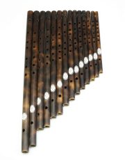 Professional Bansuri Set