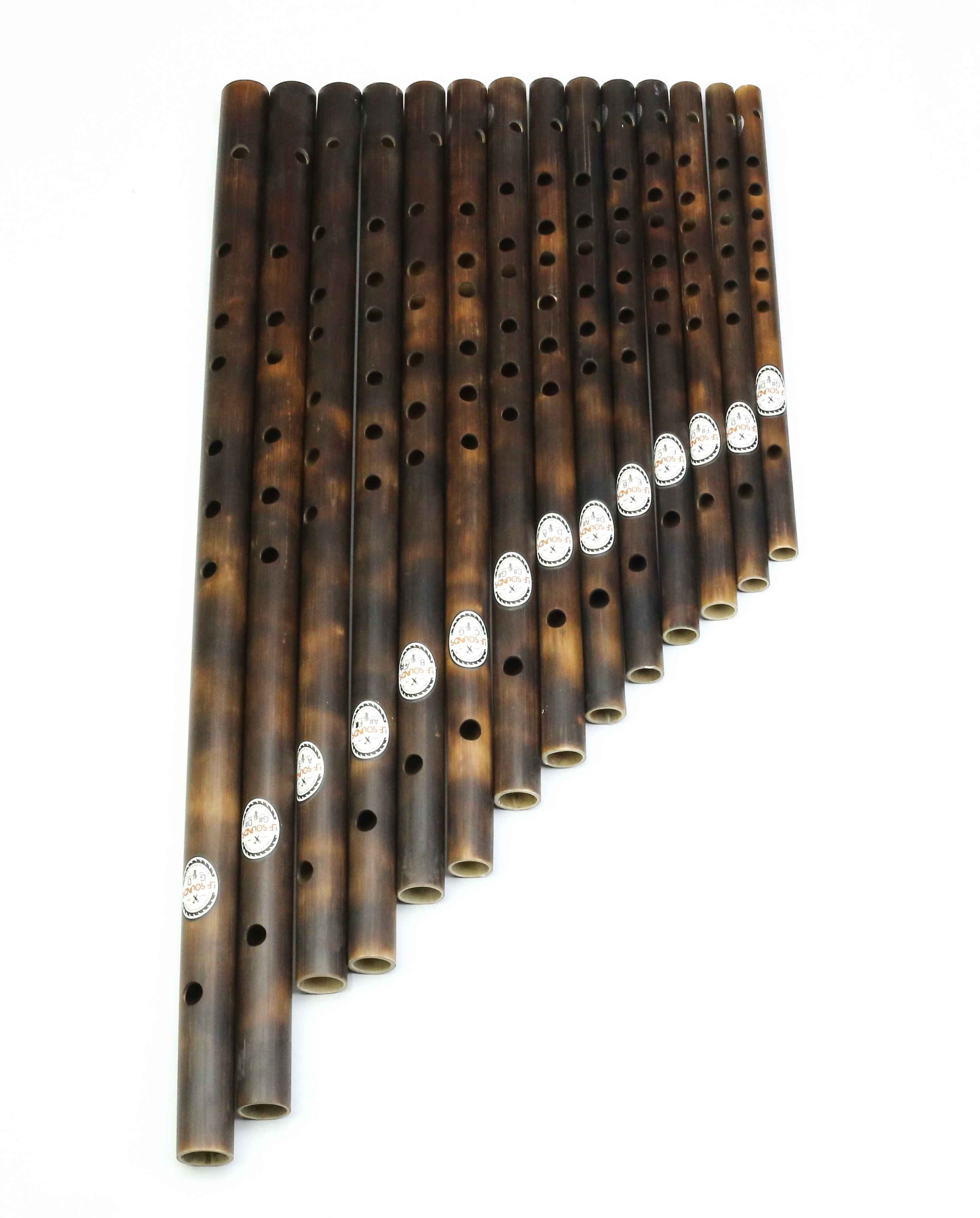 Professional Bansuri Set